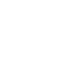 integracja-paypal