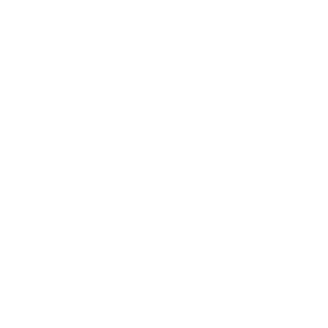 integracja-paypal